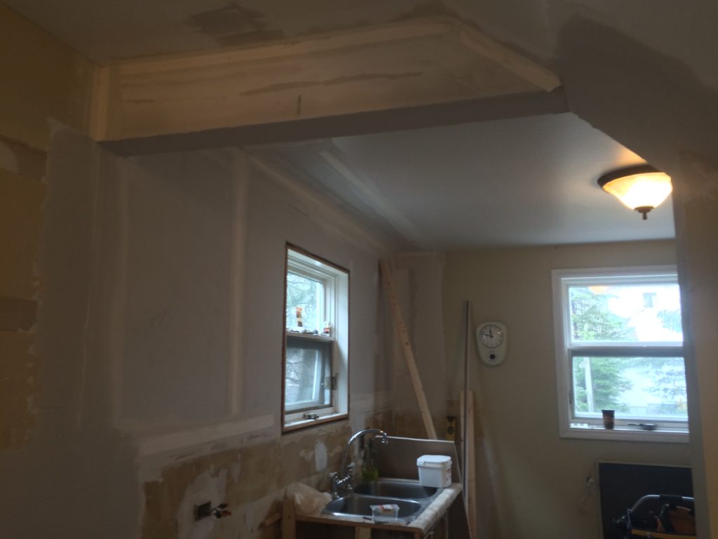 Lorway Ave Kitchen Renovation