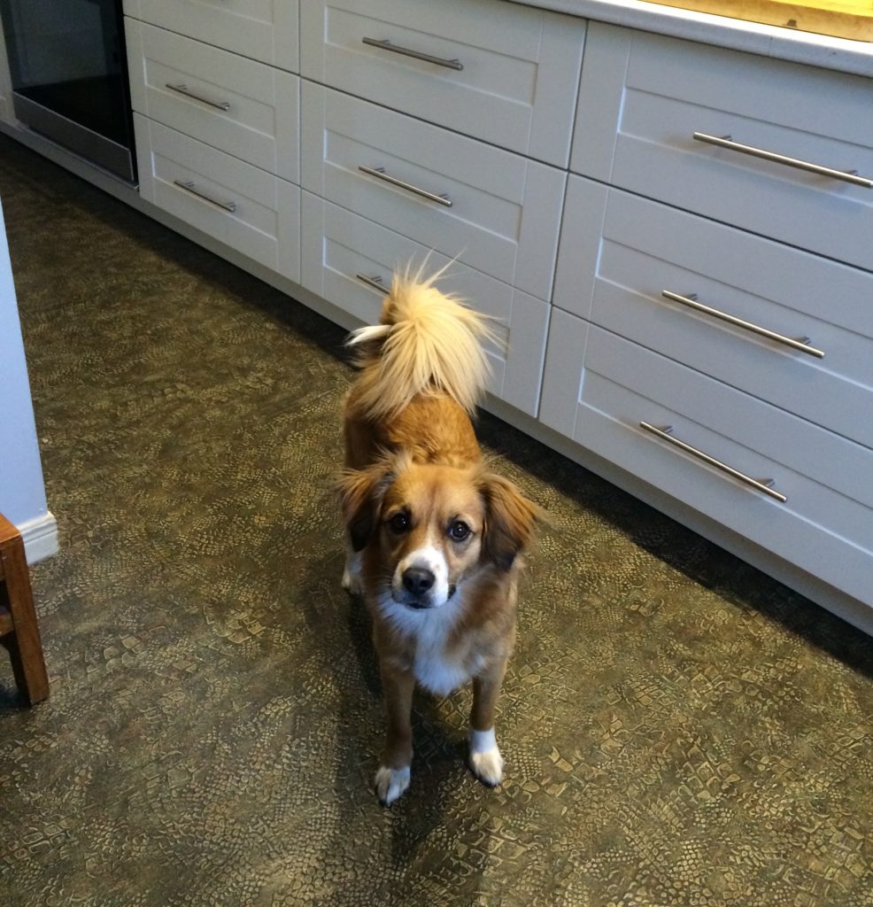 Kitchen helpers are the best! 